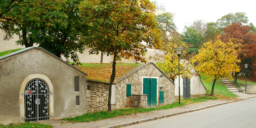 Die älteste Weinbaugemeinde Österreichs