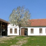 Dorfmuseum Mönchhof